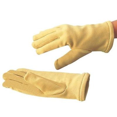 帝健 クリーンルーム用耐熱手袋 エンボス無 クリーンパック EGF-111 1双 9-1010-02（直送品）