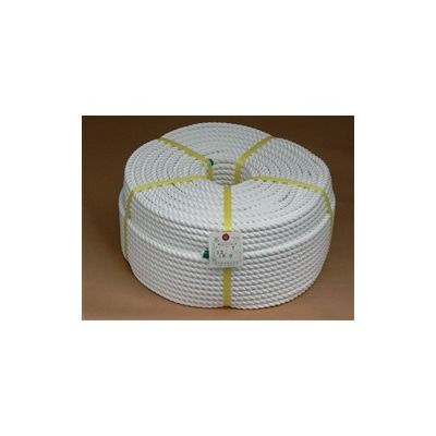 テトロンスパンロープ 高木綱業 テトロンスパンロープ 12mm×200m 36-9309 1個(1本)（直送品
