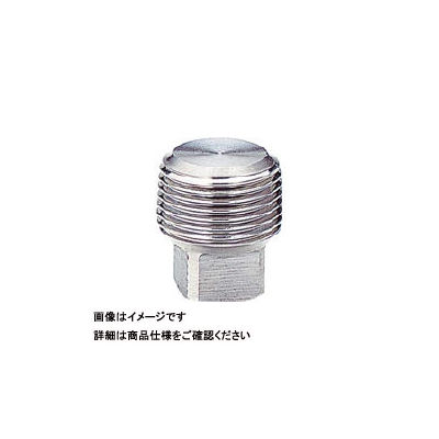キッツ KITZ ステンレス製プラグ呼び径8A (1/4インチ) PP1/4 1個 164