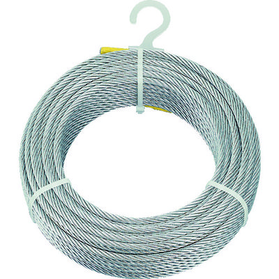 トラスコ中山 TRUSCO メッキ付ワイヤーロープ Φ6mmX30m CWM-6S30 1巻 213-4675（直送品）