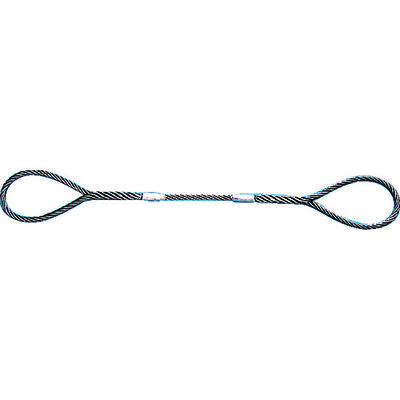トラスコ中山 TRUSCO Wスリング Aタイプ 6mmX3.0m GR-6S3 1本 177-0039（直送品）