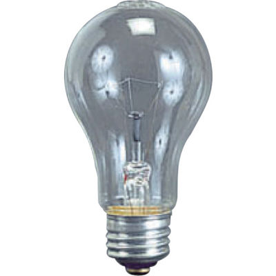 畑屋製作所 ハタヤ 耐振電球60W (ILI、KL型用) TD-60 1個 370-4726（直送品）