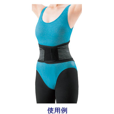 三進興産 楽らく腰ガード ブラックL 63332（取寄品） - アスクル