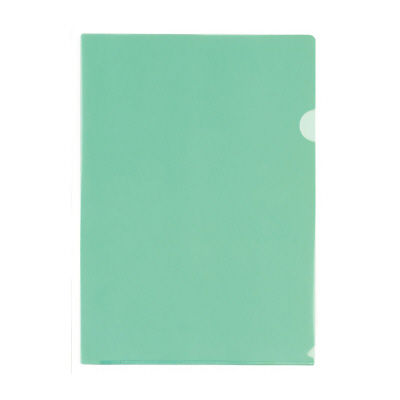 リヒトラブ（LIHIT LAB.） クリヤーホルダー 100枚 A4 緑 G6100-19 1組（直送品）