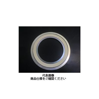ニチアス 125X10K 内外輪鉄NAボルテックスパッキン 8790125 1枚