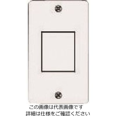 パナソニック Panasonic フルカラー新金属角型コンセントプレート WN7521 1セット(10台) 144-5228（直送品）