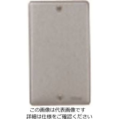 パナソニック Panasonic フルカラー新金属カバープレート WN7591 1セット(10台) 144-8321（直送品）