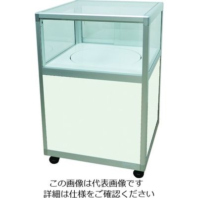 ハヤノ産業 ハヤノ エクシード ターンケース ブラック プッシュ錠付 W600XD600XH920 CS6-60-TTSC-B-P 1台（直送品）