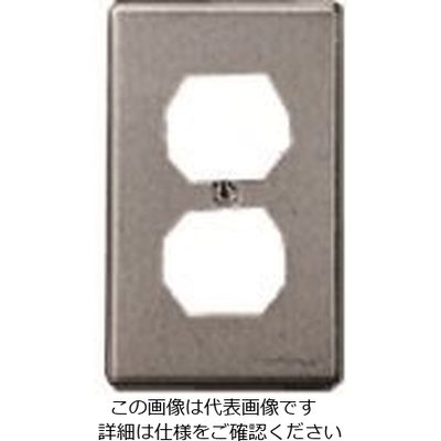 パナソニック Panasonic 新金属埋込ダブルコンセントプレート WF9531 1セット(10台) 144-8330（直送品）