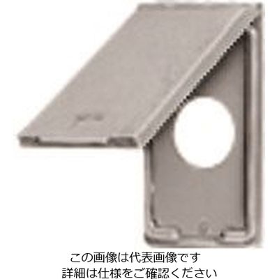 パナソニック Panasonic フルカラー防滴φ35コンプレート WN9913 1セット(5台) 144-6784（直送品）