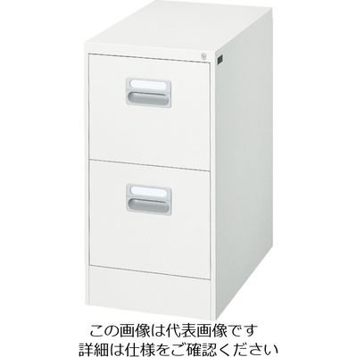 ダイシン工業 DAISHIN ファイリングキャビネット A4ー2段引出し型 ホワイト A4-2W 1台 856-9321（直送品）