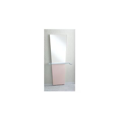 小野シャンブル ブーケ片面鏡(壁付・ピンク) 68-5753-57 1台（直送品）