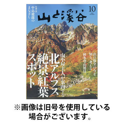 山と溪谷 2026/01/15発売号から1年(12冊)(雑誌)（直送品）
