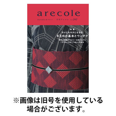 月刊アレコレ 2026/01/10発売号から1年(12冊)(雑誌)（直送品）