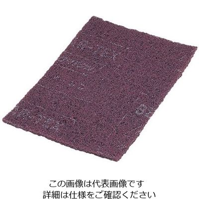 早川工業 ベア・ロン業務用ナイロンたわし (20枚入) B2型 62-6606-44 1ケース(20枚)（直送品）