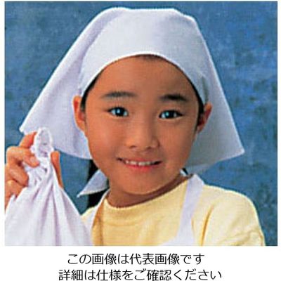 遠藤商事 三角布(ホワイト) SKV364 1枚 62-6636-29（直送品）