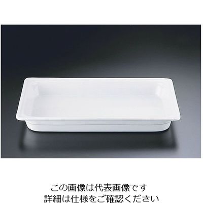 遠藤商事 メイフェア ガストロノームディッシュ 1/1 65mm PA208 62-6657-56 1個（直送品）