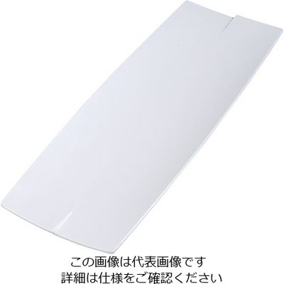 カーライルフードサービスプロダクツ カーライル レイヴ レクタングルプレート L ホワイト 33324 62-6668-01 1個（直送品）