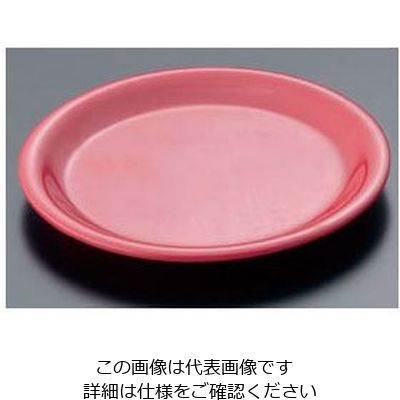 カーライルフードサービスプロダクツ カーライル シーラス パイププレート 33008 レッド 62-6668-17 1個（直送品）