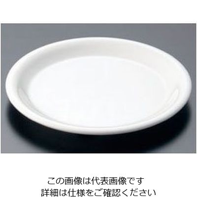 カーライルフードサービスプロダクツ カーライル シーラス パイププレート 33008 ボーン 62-6668-18 1個（直送品）