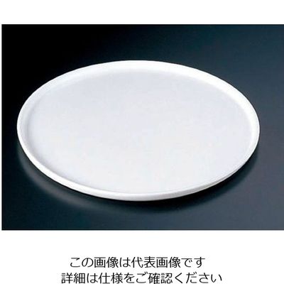 ミヤザキ食器 グランデビアンカ フラットプレート GB2051 (M) 62-6673-93 1枚（直送品）