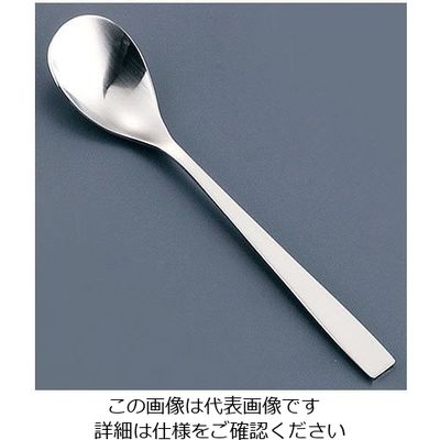 遠藤商事 18ー8 SUNAO(スナオ) ティースプーン 62-6719-48 1本（直送品）