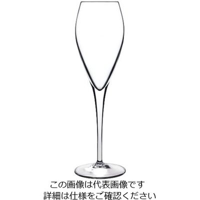 Bormioli Luigi アトリエ スパークリングワイン(6ヶ入) 10412/02 1ケース(6個) 62-6809-37（直送品）