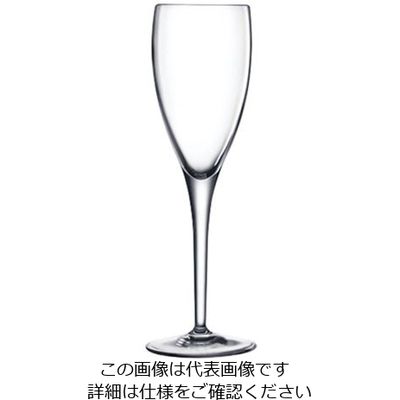 Bormioli Luigi ミケランジェロ シャンパーニュ(6ヶ入) 10282/02 1ケース(6個) 62-6809-42（直送品）