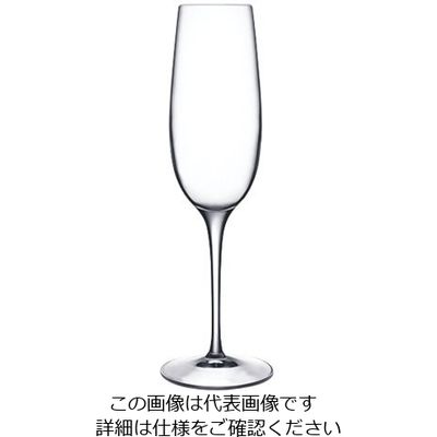 Bormioli Luigi パラス フルート(6ヶ入) 09233/06 1ケース(6個) 62-6809-45（直送品）