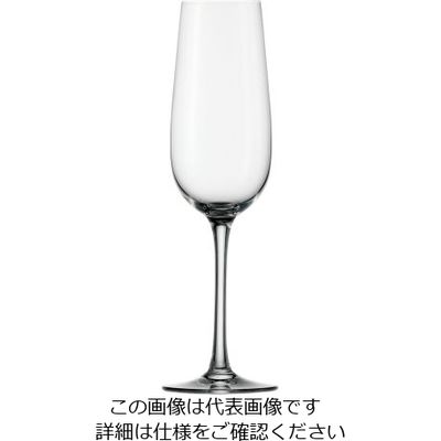 Stoelzle Lausitz ワインランド フルートシャンパン (6個入) 62-6811-06 1ケース(6個)（直送品）