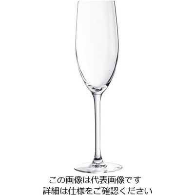 ARC International カベルネ グランシャンパーニュ(6ヶ入) 240cc D0796 1ケース(6個) 62-6811-73（直送品）