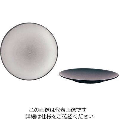 Revol エキノクス デザートプレート 21.5cm ペッパー 649494 1枚 62-6821-51（直送品）