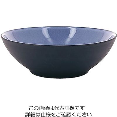 Revol エキノクス クーププレート 19cm シーラス・ブルー 649579 1枚 62-6821-62（直送品）