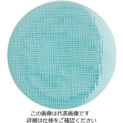 ローゼンタール RT メッシュ ラウンドプレート27cmフラット 10867 1枚 62-6827-49（直送品）