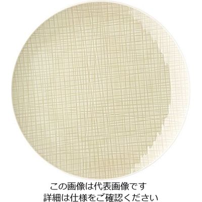 ローゼンタール RT メッシュ ラウンドプレート24cmフラット 10864 1枚 62-6827-57（直送品）