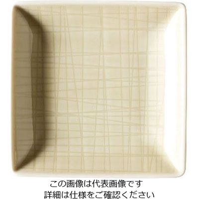 ローゼンタール RT メッシュ スクエアプレート10cm 15288 1枚 62-6827-62（直送品）