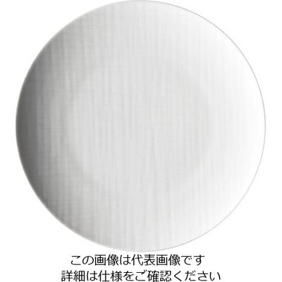 ローゼンタール RT メッシュ ラウンドプレート27cmフラット 10867 1枚 62-6827-76（直送品）