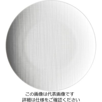 ローゼンタール RT メッシュ ラウンドプレート24cmフラット 10864 1枚 62-6827-77（直送品）