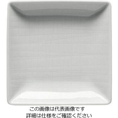ローゼンタール RT メッシュ スクエアプレート 10cm 15288 1枚 62-6827-83（直送品）
