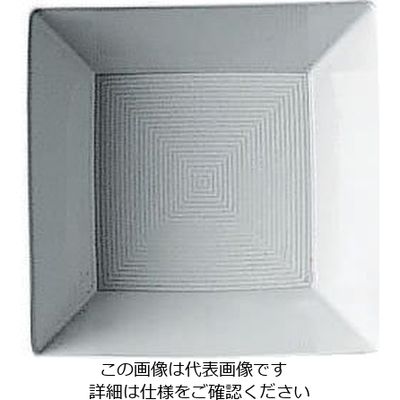 アズワン トーマスロフト 11900ー10585 スクエアボール 12cm 62-6827-96 1個（直送品）