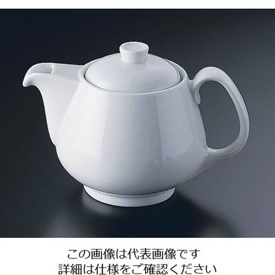 ローゼンタール RT エポック ティーポット1人用 34211 1個 62-6828-50（直送品）