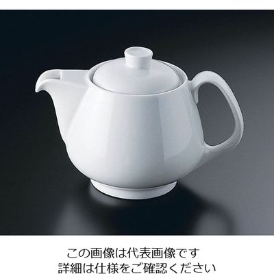 ローゼンタール RT エポック ティーポット3人用 34221 1個 62-6828-51（直送品）