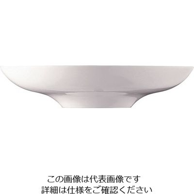 ローゼンタール RT ニド グルメプレート22cm 10920-31522 1個 62-6828-53（直送品）