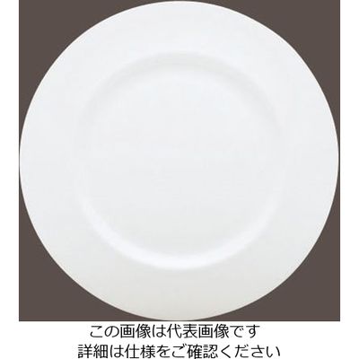 ローゼンタール RT ジェイド リムプレート 23cm 10640-31123 1枚 62-6828-62（直送品）