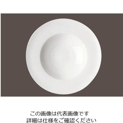 ローゼンタール RT ジェイド リムスーププレート 23cm 10640-31223 1個 62-6828-65（直送品）