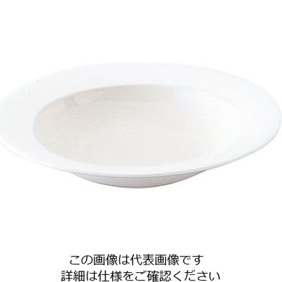 ミヤザキ食器 エチュード リムクーププレート 24cm ET2402 1枚 62-6831-62（直送品）