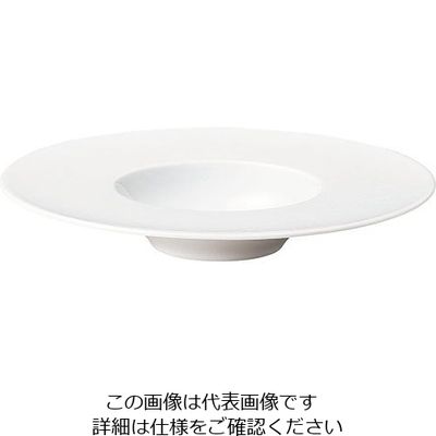 ミヤザキ食器 エコス グルメプレート 25cm CV2512 1枚 62-6831-83（直送品）