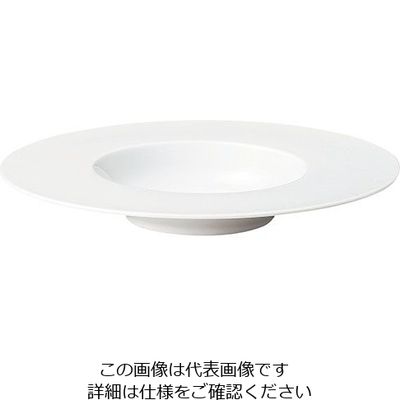 ミヤザキ食器 エコス グルメプレート 29cm CV2912 1枚 62-6831-85（直送品）