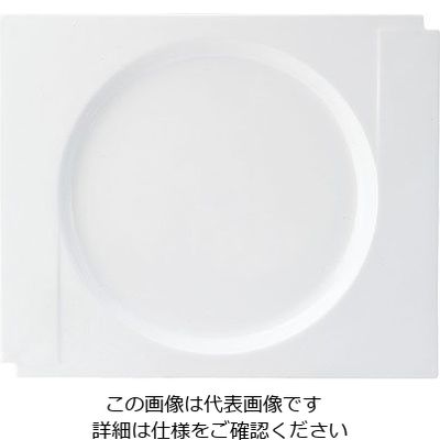 ミヤザキ食器 マグネシア マニカ スクエアリムプレート 29cm MG2911 1枚 62-6832-19（直送品）