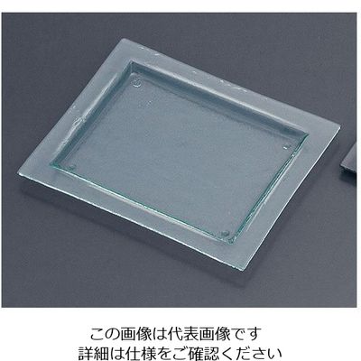 遠藤商事 タイガーグラス レクタンギュラープレート 061ー192ー12 クリア 62-6835-73 1枚（直送品）